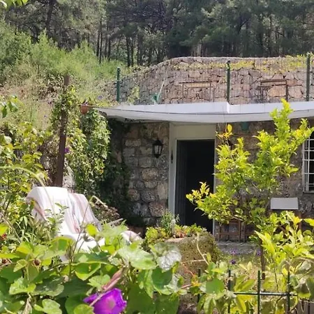 Stone Garden, Terrace Sea And Forest View Otel Marmaris