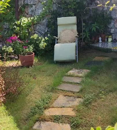 Stone Garden, Terrace Sea And Forest View