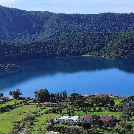 Stone Garden, Terrace Sea And Forest View Otel *
