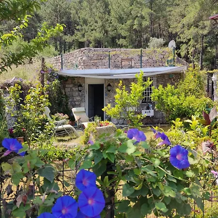 Stone Garden, Terrace Sea And Forest View * Marmaris